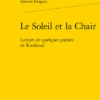 Le Soleil Et La Chair. Lecture De Quelques Poésies De Rimbaud