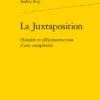 La Juxtaposition. Histoire Et (dé)construction D’une Complexité