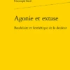 Agonie Et Extase. Baudelaire Et L'esthétique De La Douleur