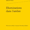 Illuminations Dans L’ombre